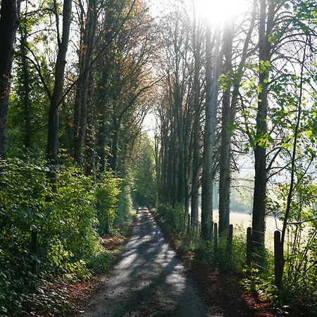 Aux Etangs Fleuris Rochefort