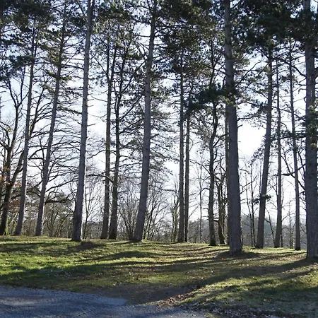 Aux Etangs Fleuris