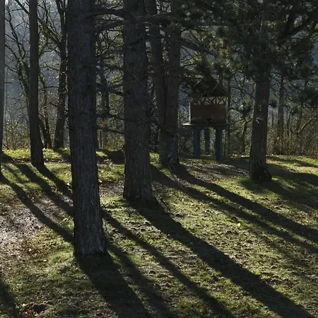 Aux étangs Fleuris Rochefort