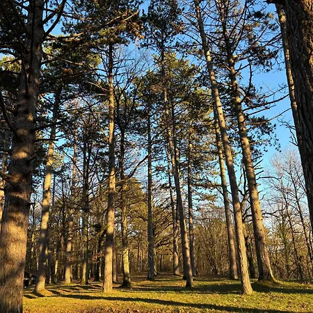 Aux étangs Fleuris Couette-café 3*