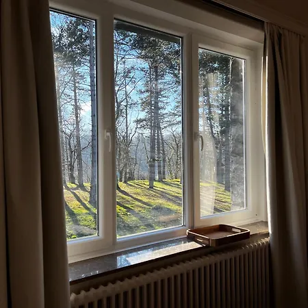 Aux Etangs Fleuris