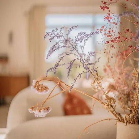 Bed & Breakfast Aux Etangs Fleuris