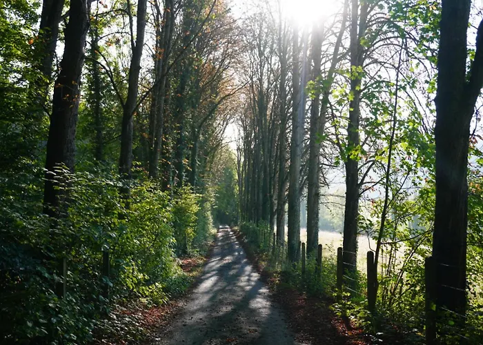 Aux Etangs Fleuris Rochefort