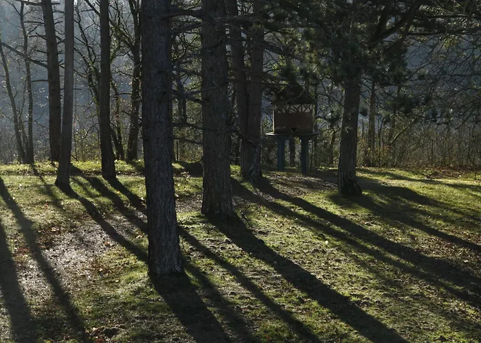 Aux Etangs Fleuris רושפורט