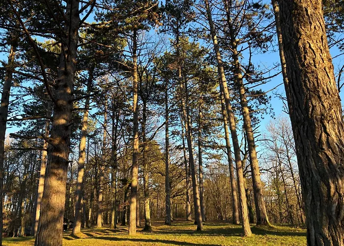 Aux Etangs Fleuris לינה וארוחת בוקר 3*