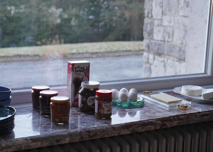 Aux Etangs Fleuris 3* רושפורט